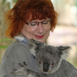 KoalaWithHuman